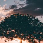 Roy_Costello - @roycostello06 - Instagram