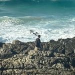 Roy - @royco_stello - Instagram
