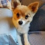 Roy H. Couch - @fitzfalcon - Instagram