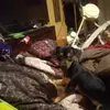 LRoy Craven - @lroy.craven - TikTok