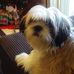 Roy Custer - Facebook
