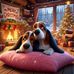 Roy Daigle - Facebook