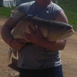 roy dalton - @roydalton2018 - Instagram