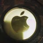 Roy Davison - @roy.davison - Instagram