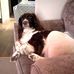 Roy Devlin - Facebook