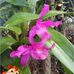 Roy Dimalanta - Facebook