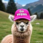 LaRoy Doge - @laroydodge - Instagram