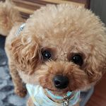 Yukie K - @roy.drake.1209 - Instagram