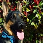 Roy Driver - @rdriver1124 - Instagram