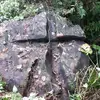 Roy Eagle eye - @roy.eagle.eye - TikTok