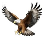 Royel Eagle - Facebook