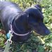 Roy Effinger - Facebook
