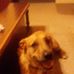 Roy Eichler - Facebook