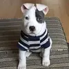 @royemanuel27 - TikTok