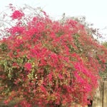 letter Roy - @roy.letter - Instagram