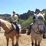 Roy Fellows - @fellowsroy - Instagram