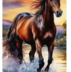 Tammy Roy Fillmore - Facebook