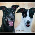 Roy & Finn - @royhunds_finnroy_ - Instagram