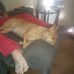 Roy Fleming - Facebook