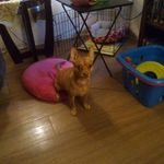 Roy Fleming - @royfleming52 - Instagram