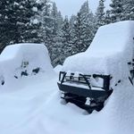 Roy Flowers - @flowers_roy - Instagram