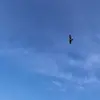 royfly5 - @royfly5 - TikTok