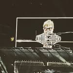 Roy Fore - @roy.fore - Instagram