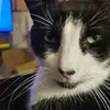 Roy Franklin - @roy.franklin08 - TikTok