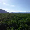 Roy_Fuentes - @roy_fuen_tes - TikTok