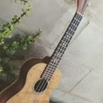 Roy gay boy - @ukulelemaster247 - Instagram