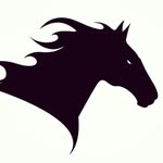 🐎Joy / Roy / Gilad 🐎 - @love.horse.2019 - Instagram