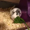 Troy Gillard - @troy.gillard - TikTok