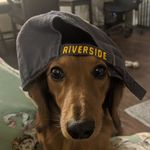 @roygilmanstudios - Instagram