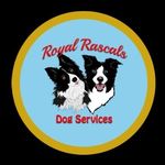 Royal Rascals | Dog Walker - @royalrascalsglasgow - Instagram