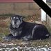 Roy Goins - Facebook