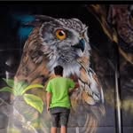 Artista - @roy_graffiti_costa_rica - Instagram