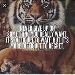 reuben greenaway - @reuben_royal_cambell_greenaway - Instagram