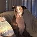 Roy Groves - Facebook