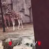 Roy Groves - @roy.groves - TikTok