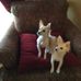 Roy Hackett - Facebook