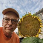 roy hahn - @royhahn784 - Instagram