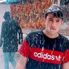 Roy Hahn - @dfegtmhhtecjtr - TikTok