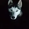 royHamada Mostafa - @royhamada.mostafa - TikTok