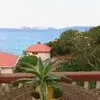 Roy Hammonds - @roy.hammonds6 - TikTok