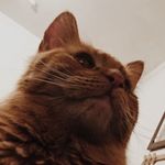 Roy - @royhammond_ - Instagram