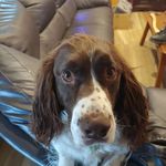 Roy Harrell - @bagera326 - Instagram