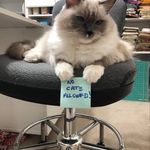 Roy Hawks - @royhawks - Instagram