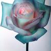 Roy Hayward - @roy.hayward6 - TikTok