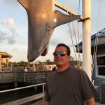 Roy Heckel - @royheckel - Instagram
