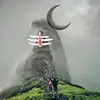 Royal height - @royalheight - TikTok